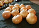 Fresh Chinese Onion