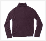 Turtle Neck, Long Sleeve Sweater for Women WSCT-177