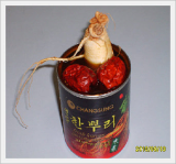 Fresh Korean Ginseng One Root