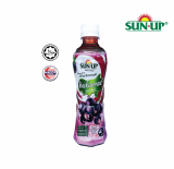 Sun Up Black Currant with pulp Ready_To_Drink Fruit Drink organic _ 350ml