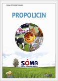 Propolicin(Natural Antibiotics Containing Bee Propolis)