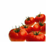 The tomato (freshness, refrigerating)