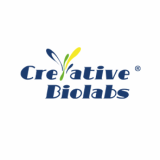 Bioconjugation Services