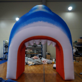 Smooth Shark Tunnel inflatable