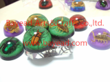 real insect amber Acrylic resin paperweights,business gift,office gift