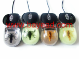real insect amber optical USB computer mouse,so cool gift