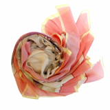 Scarf_Graphics