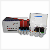 Multiplex Human Renal Cell Carcinoma Detection Kit