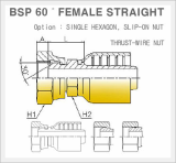 One Piece Fittings -BSP 60 Female Straight