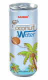 Coconut Water (Without Fruit Pieces) 240ml 