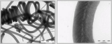 Graphite Nanofiber(GNF-100)