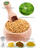 Fenugreek Seed Extract Furostanol Saponin 50%