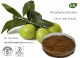 Olive Leaf Extract Oleuropein 20%,60% by HPLC