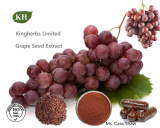 Grape Seed Extract Proanthocyanidins OPC 98%