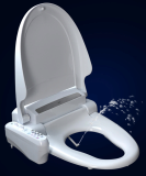 Hybrid bidet toilet seat