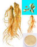  Ginseng extract--huir