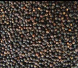 Black pepper extract--huir