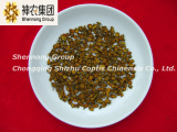 Coptis chinensis Franch goldthread from Chinese largest manufacturer