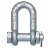 Forged Chain Shackle with Bolt Pin-IJIN MARINE LIMITED