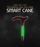SMART CANE