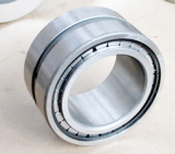 SL series full complement cylindrical roller bearing