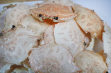 High Quality Natural Dried Crab Shell For Food Stuff in Restaurant From Vietnam