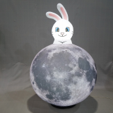 A rabbit living on the moon in space travel