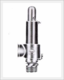 Safety Valves for Gas 