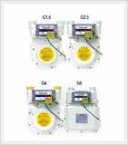 Gas Meter (Remote Type Series - G1.6, G2.5, G4, G6)