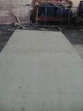 Plywood grade BC use for packing_ export to Korea