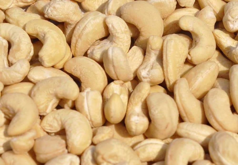 cashew nut raw material suppliers