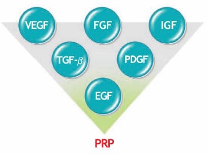 Growth factors in PRP