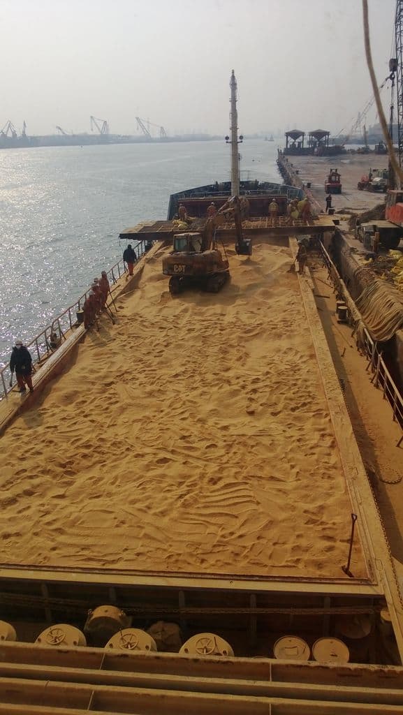 corn gluten feed in bulk vessel 2000mt