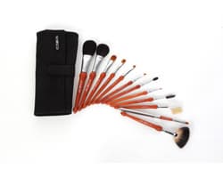Cosbon Professional makeup brush set