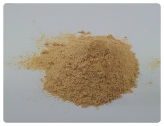 bulgogi taste seasoning powder(dried)