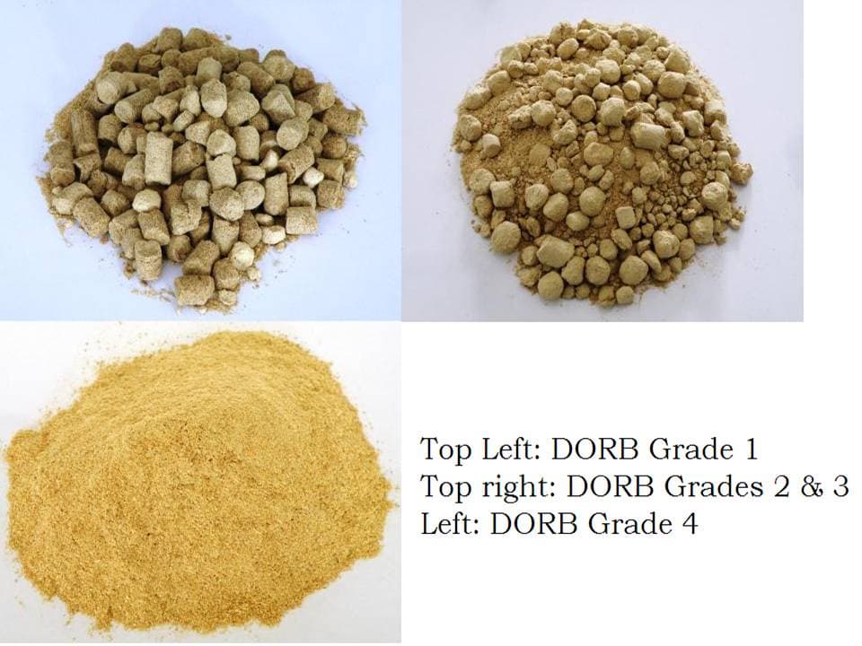 De Oiled Rice Bran for animal feed | tradekorea