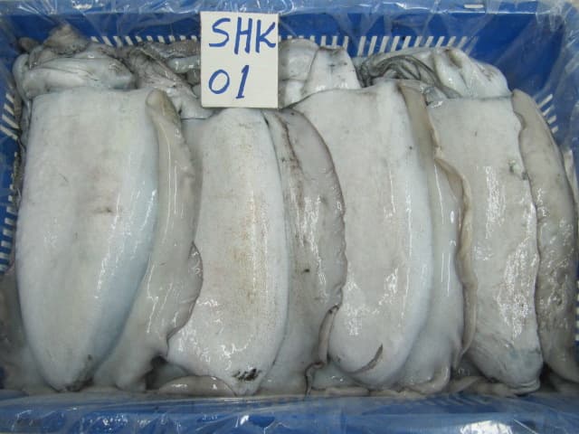 Frozen Cuttlefish