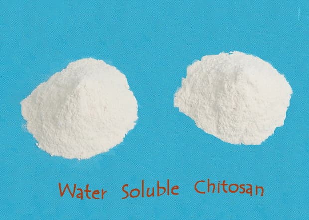 water soluble chitosan