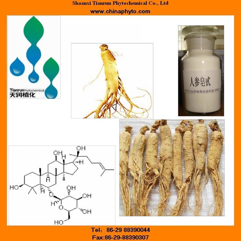 Panax Ginseng Root And Berry Extract Powder With Ginsenoside | Tradekorea