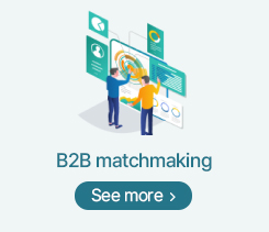 B2B Matchmaking