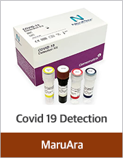 Covid 19 Detection