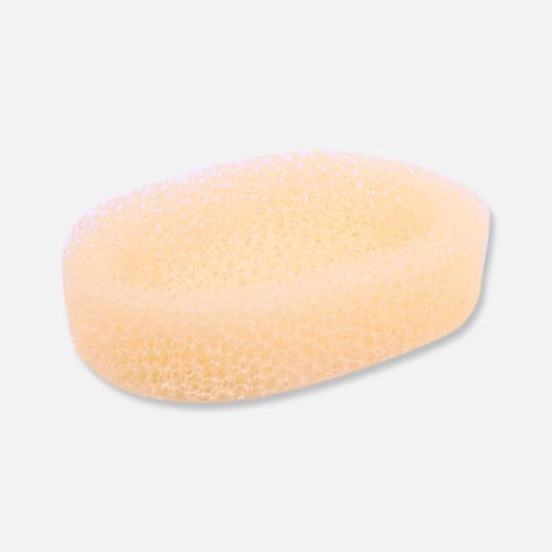 Sponge soap case