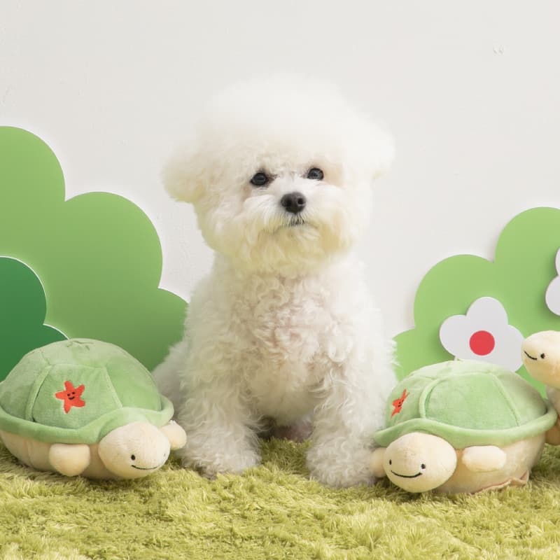 Biteme Jumping Boogie Auto_Ball Toy