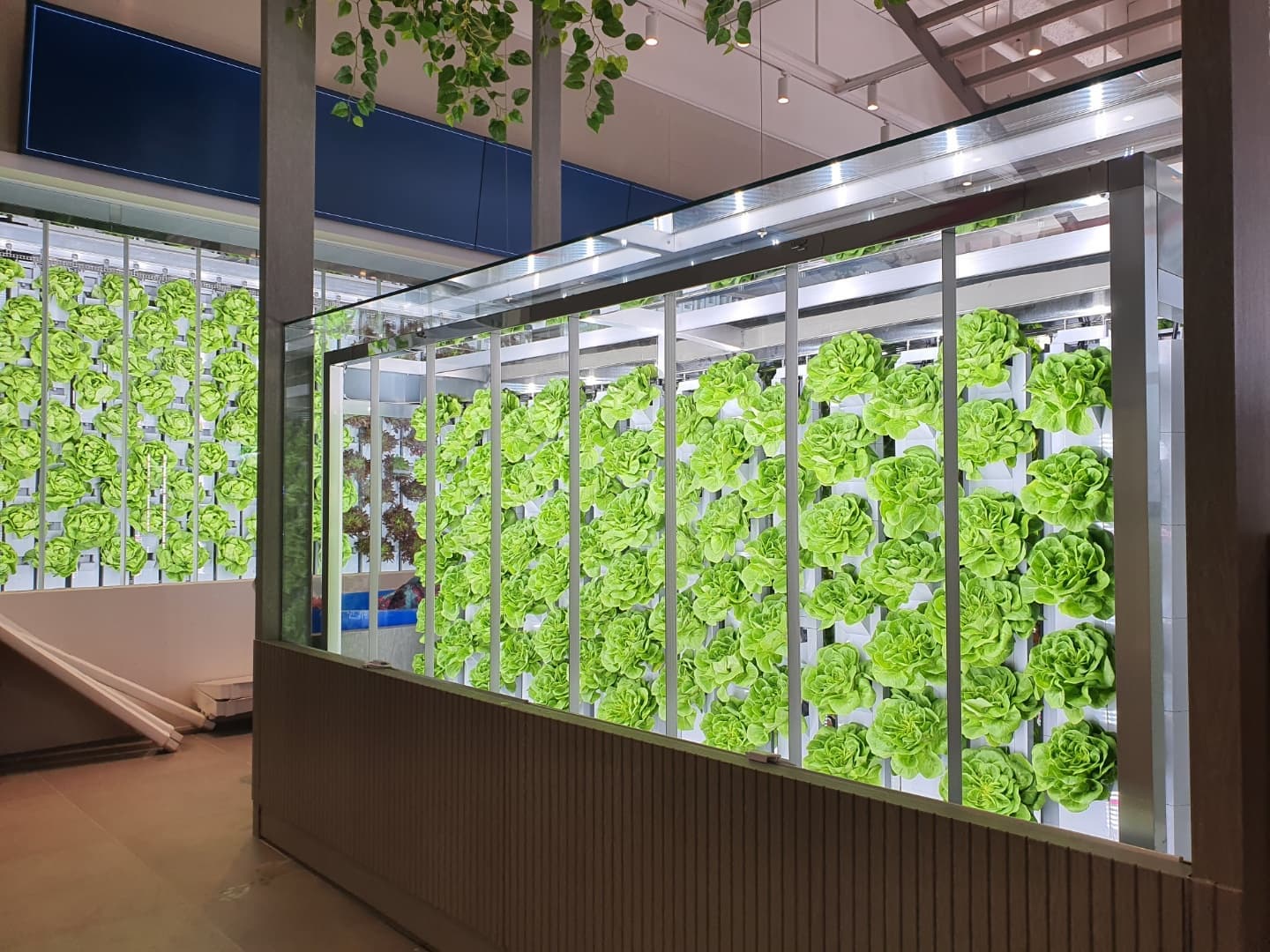 Tailored Garden Solutions with Hydroponic Cultivation System