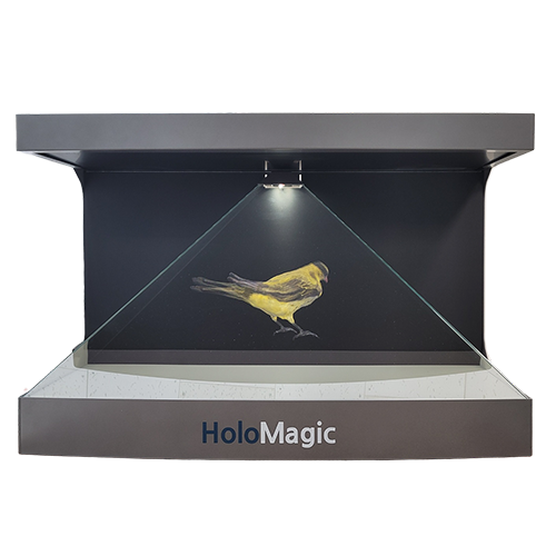 HOLOMAGIC_holomagic_Hologram _ AR_ P32