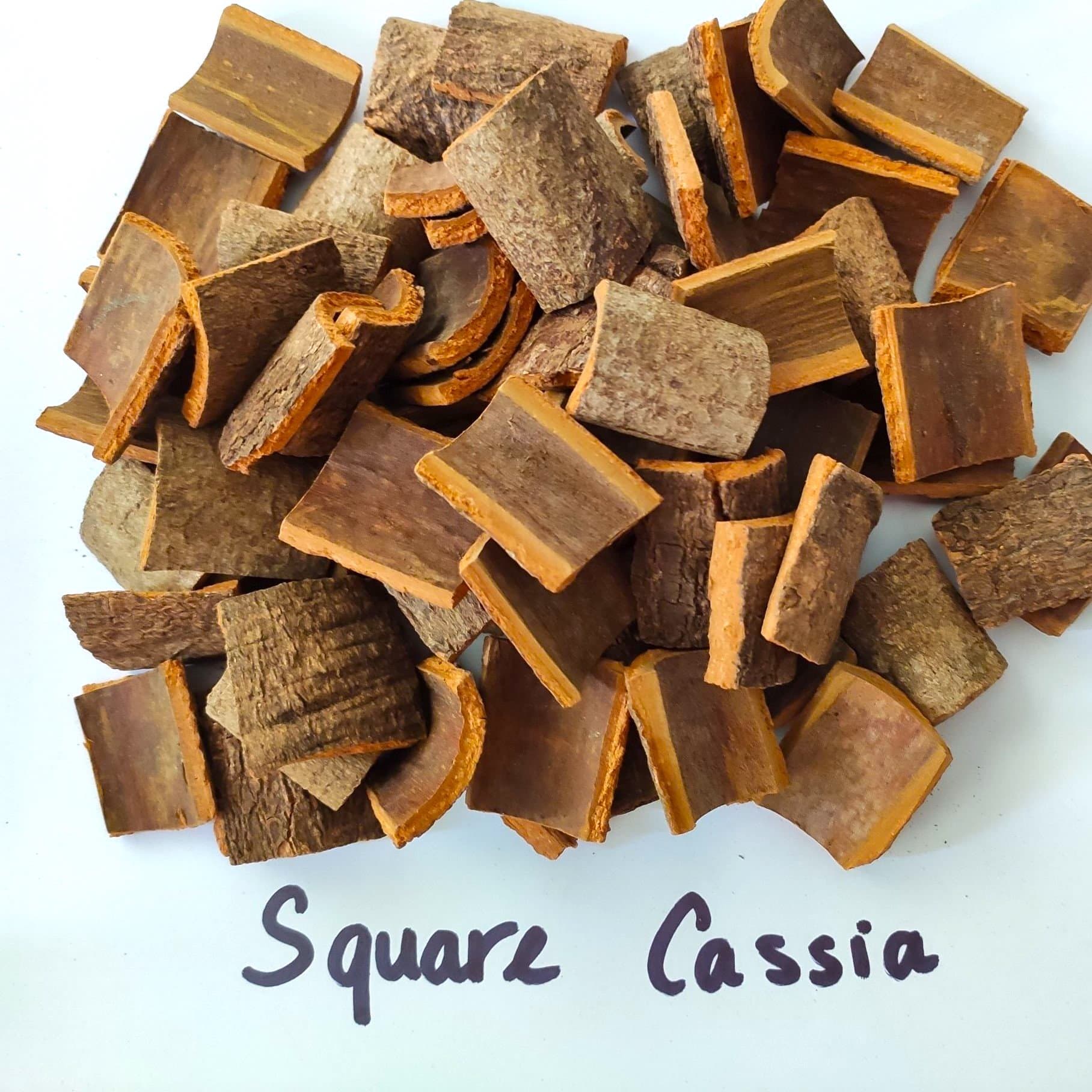 square cassia