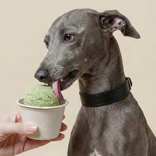 BEANS 31 ArfB Pet Food