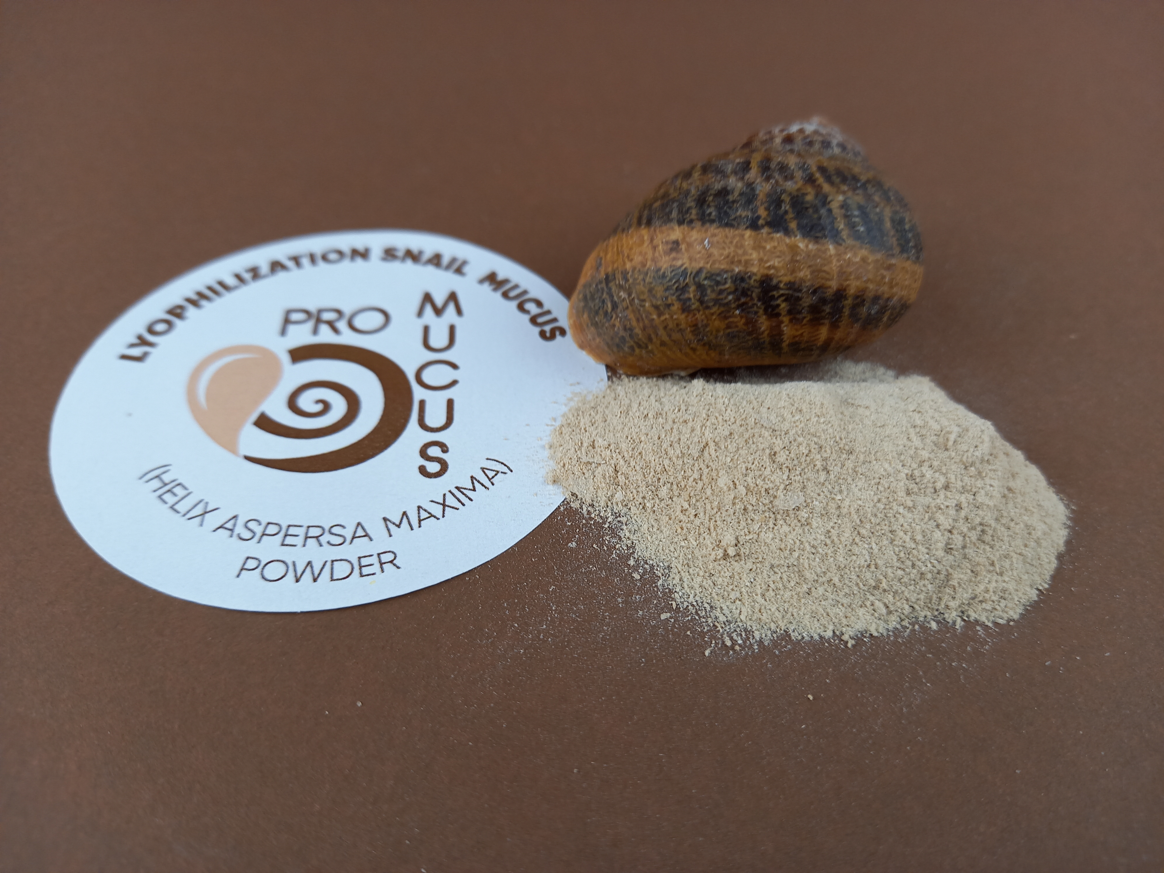 Lyophilized snail mucus powder