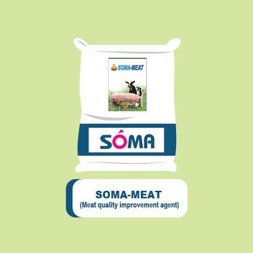 SOMA_MEAT T