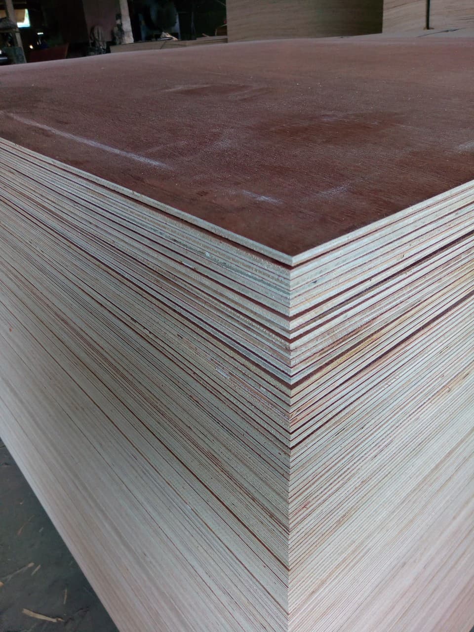 Commercial AB grade plywood MR glue 100_ hardwood core